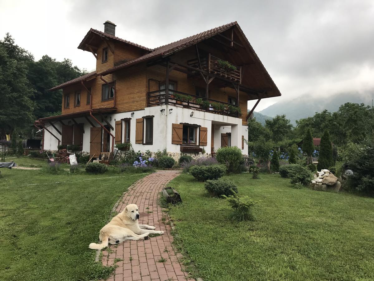 Gasthaus Maria Borlova Exterior photo
